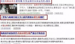 玉环最新爆料新闻事件,揭秘某重大事件背后真相